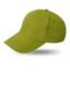 Special Cap (WI1111031-GN)