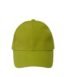 2 100% Bamboo 6 Panel Cap (1111031-GN)